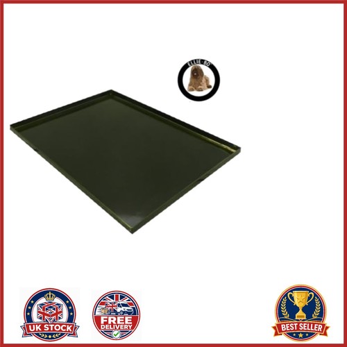 Replacement tray for medium - replacement,
