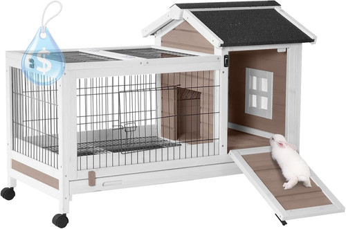 Rabbit hutch indoor - rabbit,