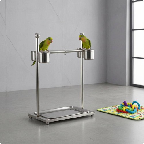 Bird training stand with - bird,