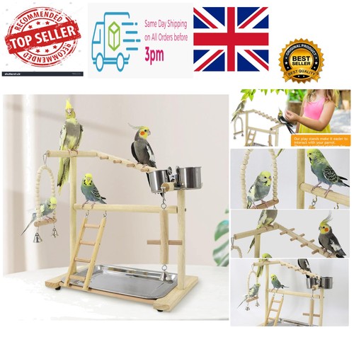 Parrot playground with ladder - playground,