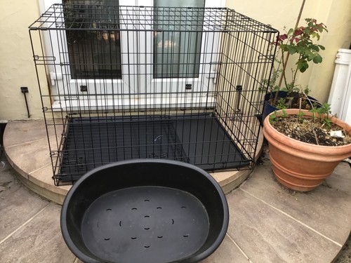 Extra large metal wire - , dog